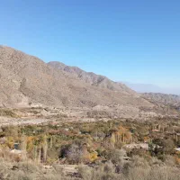 اجاره خونه باغ وسوئیت دلفارد
