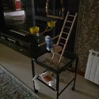 عروس هلندی با قفس و پایه قفس