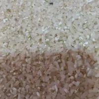 خورده برنج درجه یک