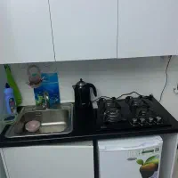 نظافت منزل ،قالی شویی