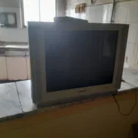 تلوزیون