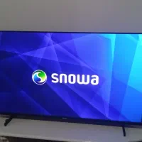 تلویزیون