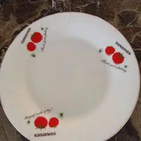 ضروف چینی مرجان