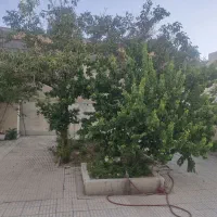 اجاره-خانه-ویلایی-390-متری-خیابان-رعشه