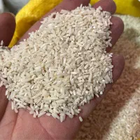 برنج لاشه حاصار و هاشمی و‌ کاظمی (کالا برگ)