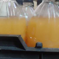غوره