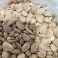 هسته شکن، گردو، انواع بادام،زردالو،