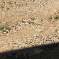 فروش زمین کارمندی پشت بیمارستان