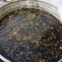 اشپز ماهر با سابقه کاری