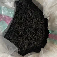 چای قلم بهاره سورتینگ شده