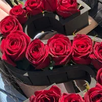 استند گل|کتابخانه، شلف، قفسه‌های دیواری|تهران, مجیدآباد|دیوار