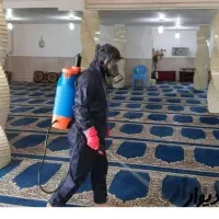 سم پاشی ساس موش سمپاشی موریانه سوسک شپش مار