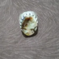 انگشتر پیدا شده