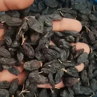 مویز