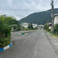 زمین ویلایی سند ۶ دانگ(شهرک صبا).          ملک+