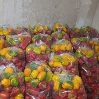 پخش عمدی فلفل دلمه رنگی زرد قرمز