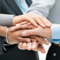 سرمایه گذار ، سهام ، سود ، مشارکت