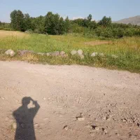 زمین کشاورزی در مشگین شهر روستای مزرعه خلف