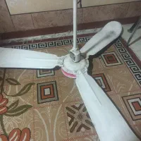 پنکه سقفی سالم