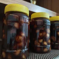ترشی سیر