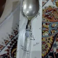 قاشق انتیک لیزا موری