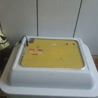 دستگاه جوجه کشی شریکی