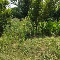 فروش ۶۴۰مترخانه ومحوطه کامل مسکونی باسندتک برگ