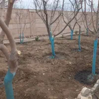 کارهای باغبانی کودهی هرس سمپاشی تیلرزنی گلکاری
