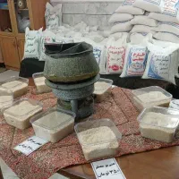 برنج فروشی ارسال رایگان در کاشان