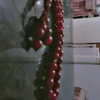 تسبیح با نخل خرما