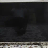 تلویزیون پاناسونیک ۴۹ اینچ  4k
