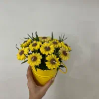 باکس شمع گل