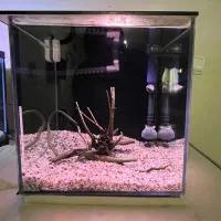 اکواریوم  ریملس سوپر کلیر/کریستالaqua