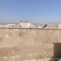 کیوتر پرشی