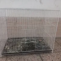 قفس درحد نو سایز۴۰در۵۰