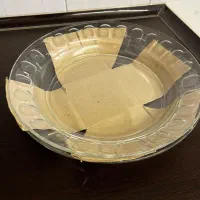 ۲ عدد دیس گرد لومینارک فرانسه