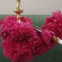 سری زن مسلط به امور قهوخانه