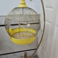 قفس پرنده