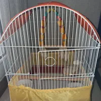 قفس پرنده