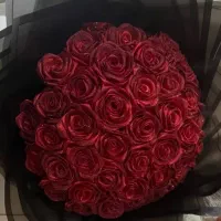 گل روبانی