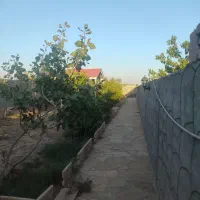 باغ-500متری