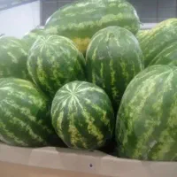 هندوانه