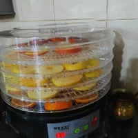 میوه خشک
