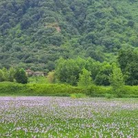 زمین 230 متری با بر 8 جهت مشارکت فیاض 14