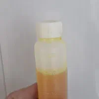 عروس هلندی|پرنده|رشت, کوی امام رضا|دیوار