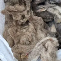 پشم گوسفند