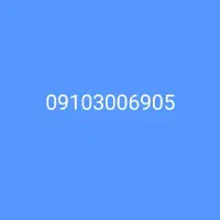 09103006905