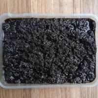 سبزی سرخ کرده ۱۰۰٪ با کیفیت و تضمینی