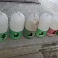 ۶ عدد آبخوری پرنده