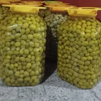 پخش زیتون